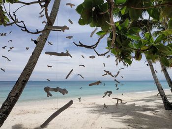 Flock of birds on beach