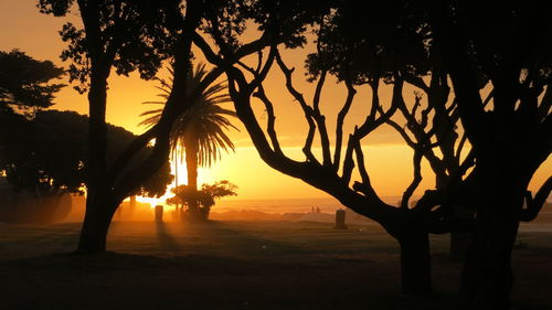 Silhouette trees by sea against sunset sky