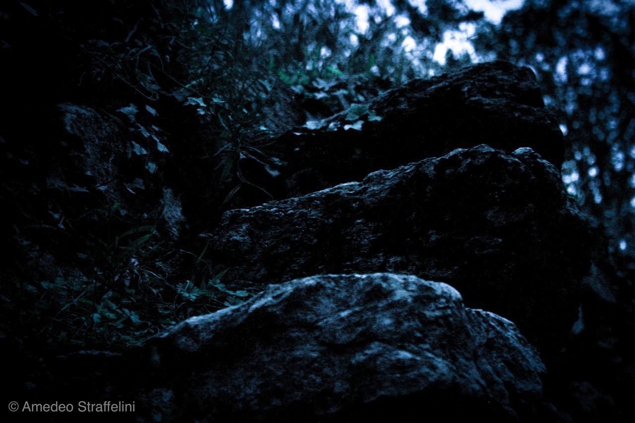 LOW ANGLE VIEW OF ROCKS AGAINST TREES