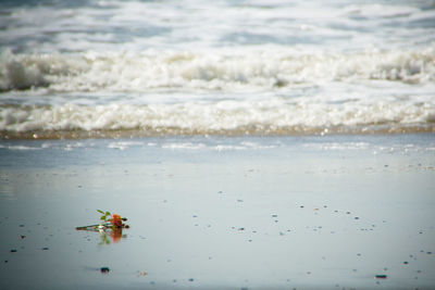 Waves rushing towards shore