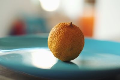 Close-up of fruit