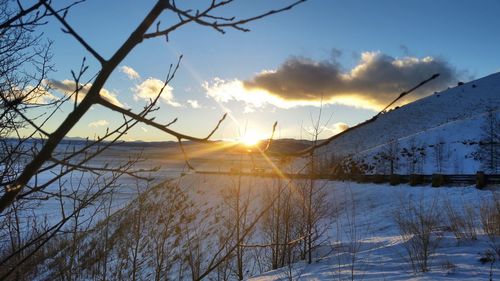 Sun shining over snow covered landscape