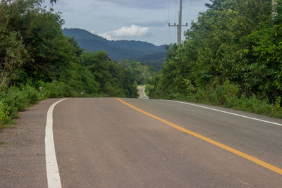 Empty road along trees