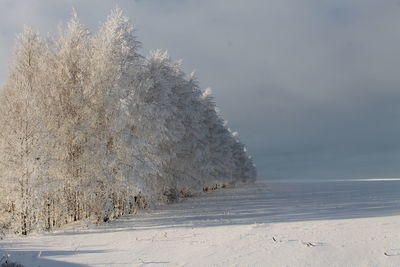 Snow covered land against sky