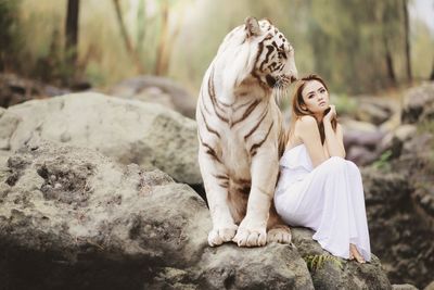 Cat sitting on rock