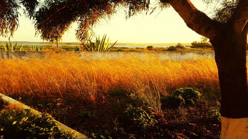 Scenic view of sea against sky at sunset