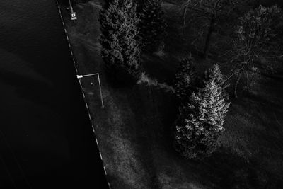 High angle view of road against trees