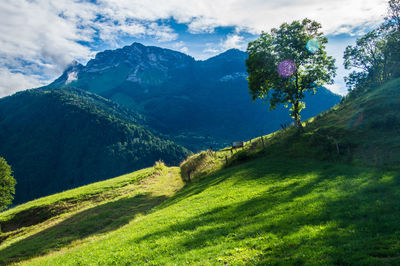 La compote in savoie in france