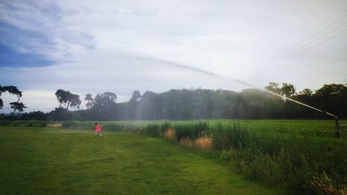 Scenic view of grassy field against sky