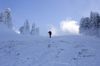 Rear view of person walking on snow covered mountain against sky