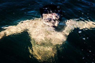 High angle view of shirtless man swimming in sea