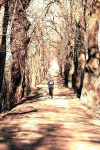 Rear view of woman walking on footpath