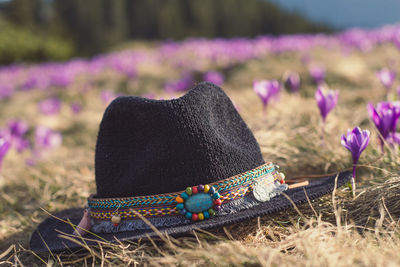 Close up knit fedora hat on early flowers grass meadow concept photo