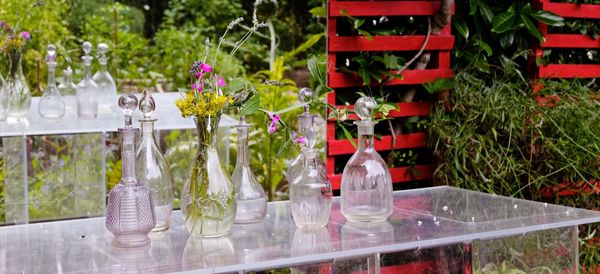 Red flower in glass vase on table