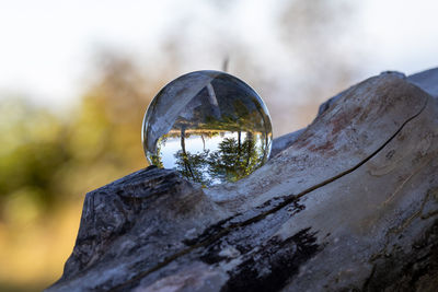 Close-up of crystal ball on rock