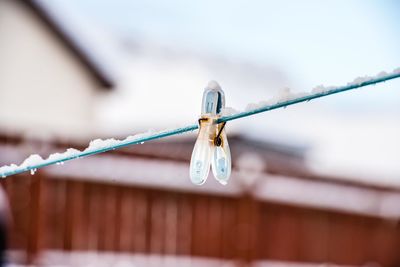 Close-up of clothespin hanging on frozen clothesline during winter