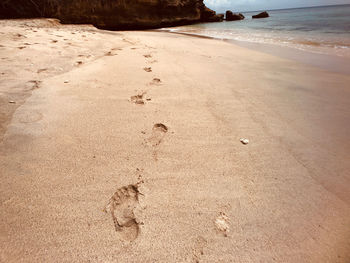 High angle view of footprints on sand at beach