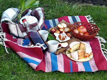 Spring picnic with easter cakes, homemade wine and eggs.easter feeding on the grass on the lawn 