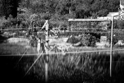 Reflection of trees in pond