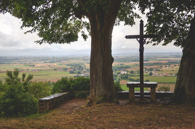 Trees and bench in park against sky