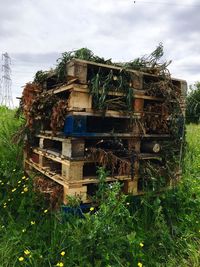 Stack of plants on field against sky