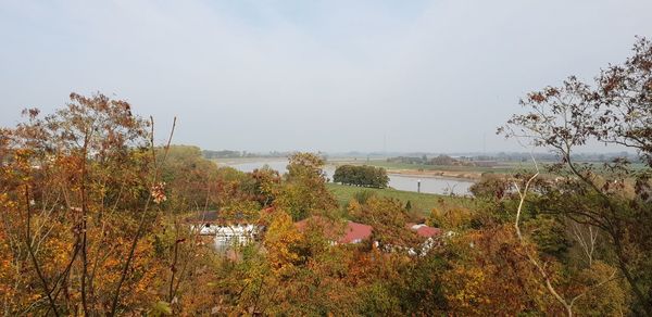 Plants growing on land against sky during autumn