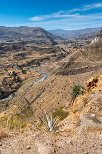 Scenic view of landscape against sky