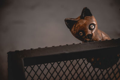 Portrait of dog looking through fence