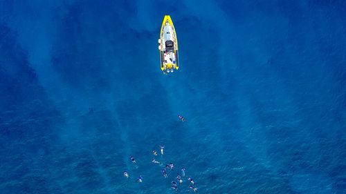 Aerial view of people swimming in sea