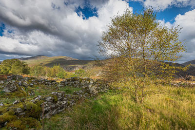 Scenic view of landscape against sky