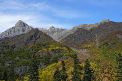 Wrangell st ellias national park