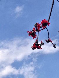 Low angle view of trees against sky