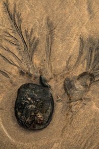 Full frame shot of white background