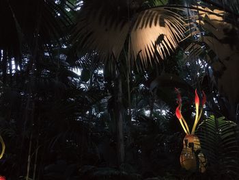 Low angle view of illuminated palm trees