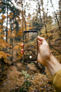 Cropped hand of person holding mobile phone in forest