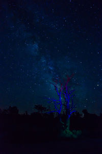 Low angle view of star field against star field