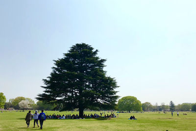 People on field against clear sky