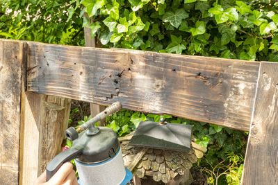 Close-up of human hand holding wood