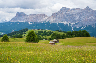 Scenic view of field against mountains