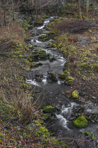 Stream flowing through rocks in forest