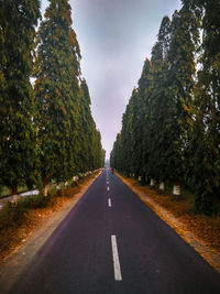 Empty road along trees