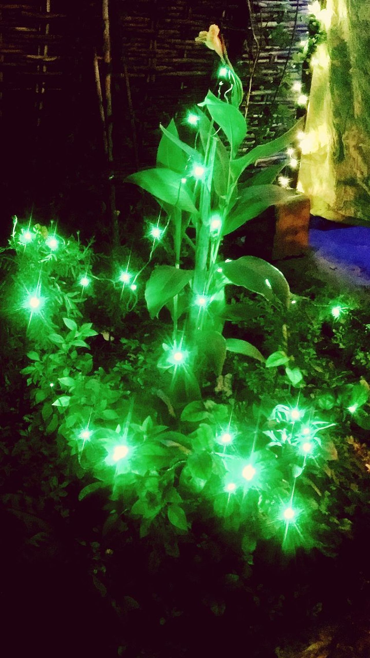 Diwali decorations