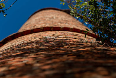 Low angle view of tree trunk against sky