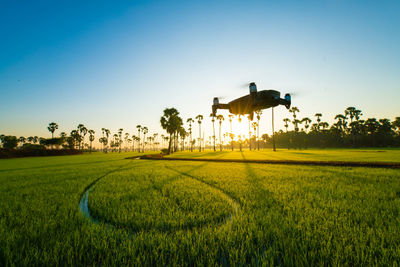 Scenic view of agricultural field against clear sky