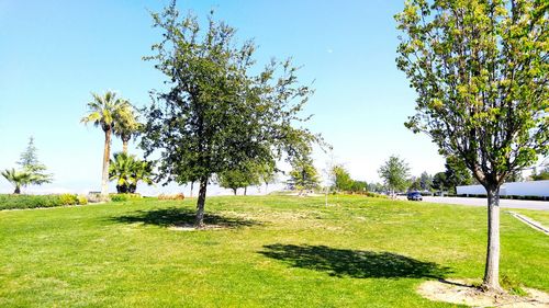 Scenic view of grassy field against sky