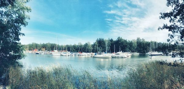 Sailboats moored in lake against sky