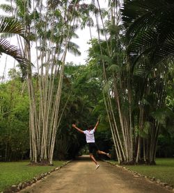 Full length of young woman by palm tree