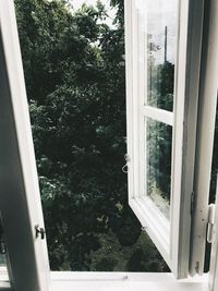 Reflection of trees on glass window