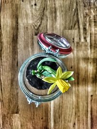 Directly above shot of flower in glass on table