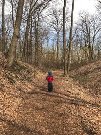 Rear view of person walking on bare trees in forest